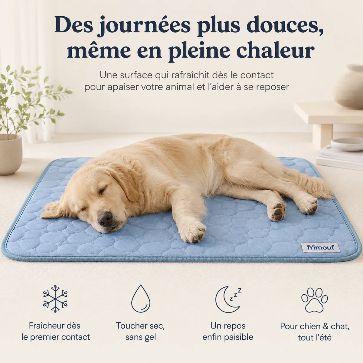 Golden retriever endormi sur un tapis rafraîchissant bleu posé au sol dans un salon clair